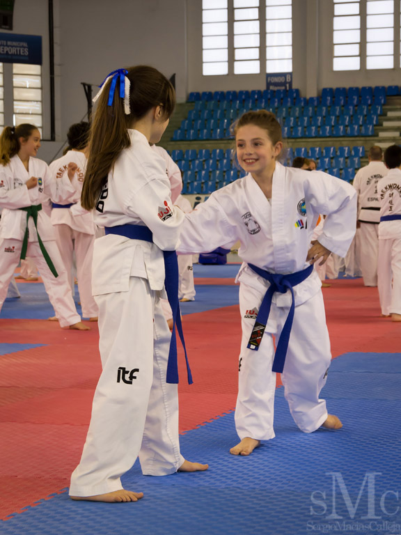DIA DEL TAEKWONDO ABRIL 2017_3982.JPG